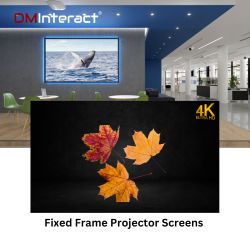Fixed Frame Projector Screens