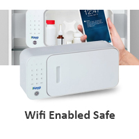 Wifi Enabled Safe