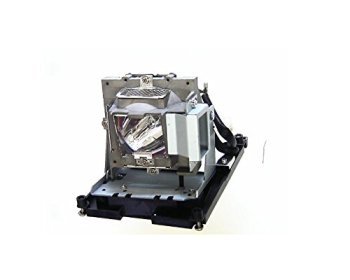 BenQ 5J.J0W05.001 Projector Lamp