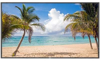 NEC MultiSync E905 LED Backlit Display with Integrated Tuner