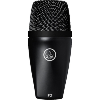 AKG P2 High Performance Dynamic Bass Instrument Microphone