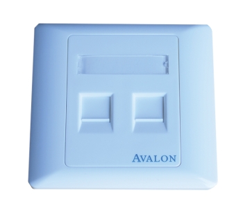 Avalon Dual Port RJ45 Face Plate