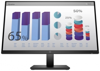 HP 8MB10AS ARAB 23.8 Inches P24q G4 FHD IPS Monitor