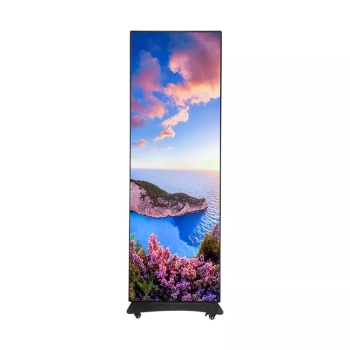 DMInteract DMP3 576*1920mm Poster Commercial Shopping Mall Indoor Poster LED Display Screen
