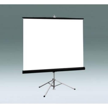 Draper Diplomat Portable Tripod Projection Screen - 96 x 96" - 136" Diagonal - Square Format - Matte White