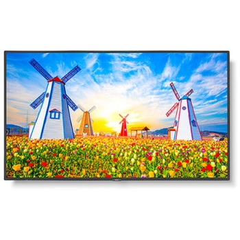 NEC MultiSync M651 65" Class HDR 4K UHD Commercial IPS LED Display