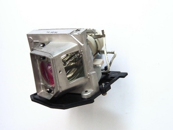 Acer MC.JGL11.001 Projector Replacement Lamp