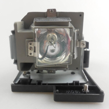 BenQ 5J.J0705.001 Projector Lamp