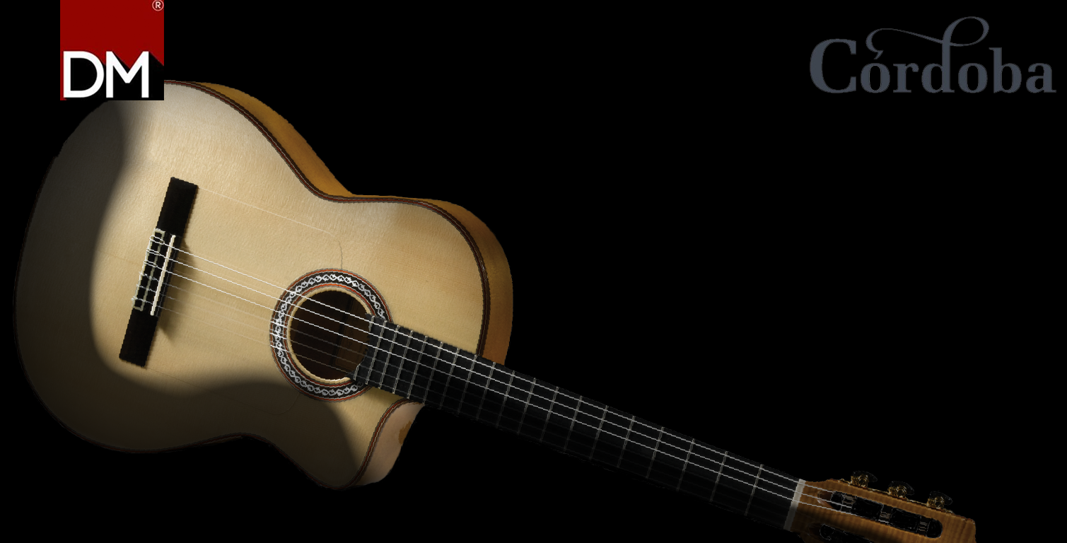 Cordoba guitar