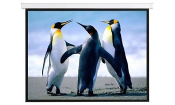 Anchor ANSCMR150D 323 x 202 cm 150" Diagonal Motorised Screen 